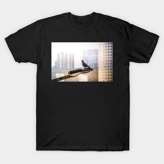 Urban dove on street lamp T-Shirt by bernardojbp